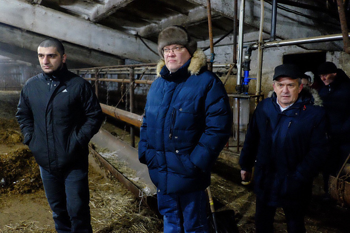 На малмыжской ферме за последние сутки не погибло ни одно животное